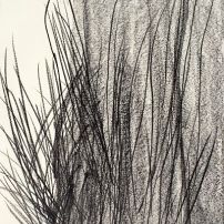Teresa Gonçalves Lobo, Untitled, 2006, graphite on papel, 76x57cm. Cortesia da artista.