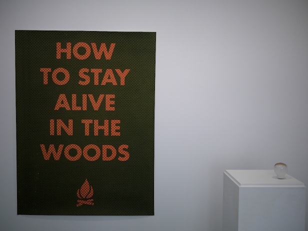 vista da exposição How to Stay Alive in the Woods de Ana Jotta na galeria Belo-Galsterer, Lisboa, 2013.