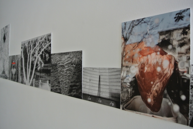 vista da exposição 'Flow' de José M. Rodrigues n' A Pequena Galeria, Lisboa.